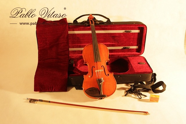 Housle Pablo Vitaso V-60 4/4